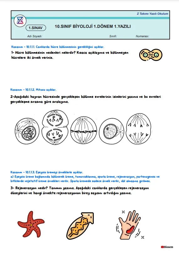 10.sınıf biyoloji 1.dönem 1.yazılı