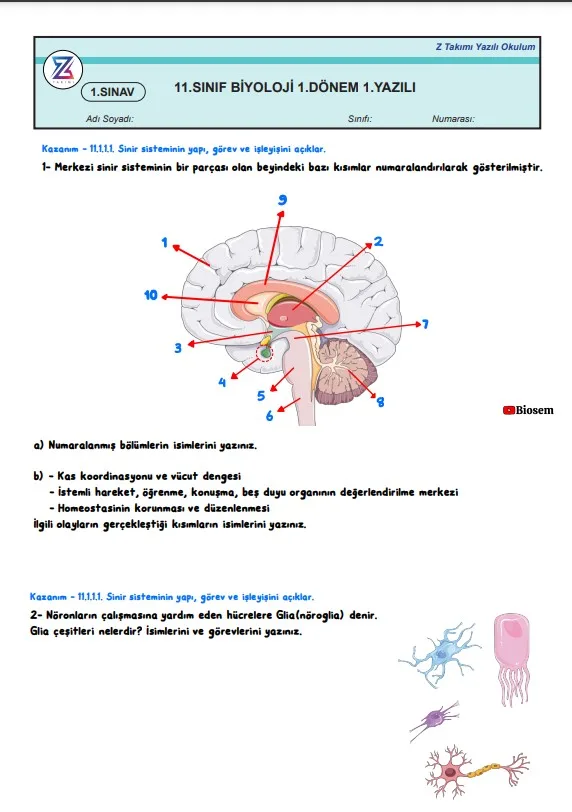 11.sınıf biyoloji 1.dönem 1.yazılı