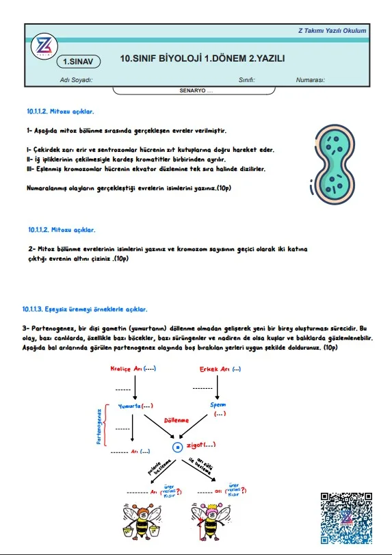 10.sınıf biyoloji 1.dönem 2.yazılı örneği