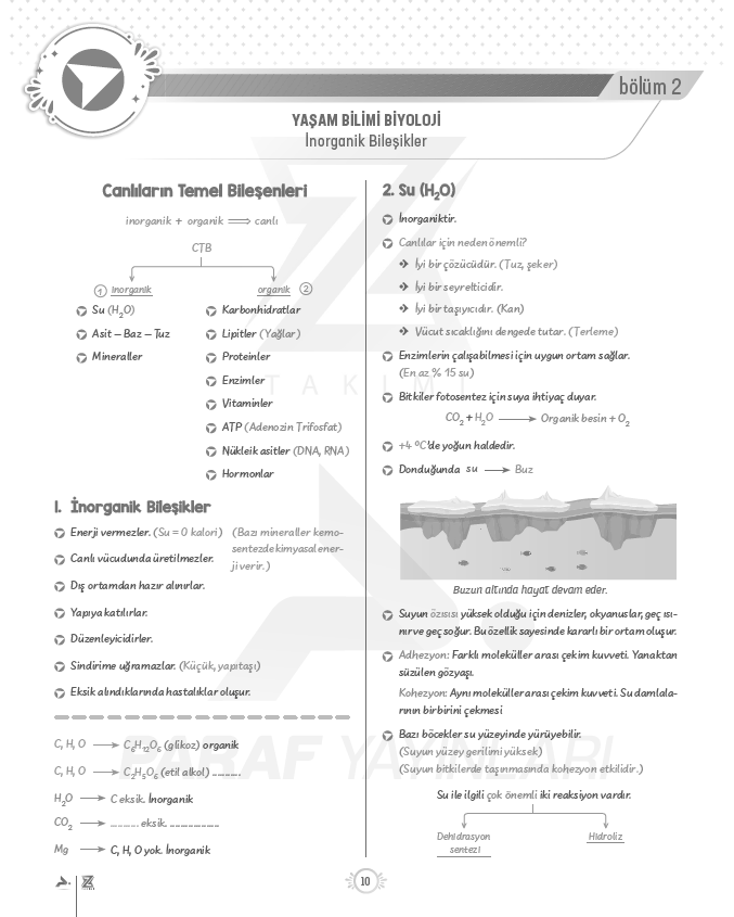 9.sinif-tyt-biyoloji-inorganik-bileşikler-konu-anlatimi