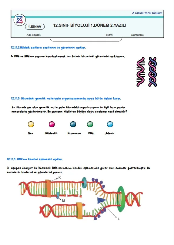 12.sınıf biyoloji 1.dönem 2.yazılı örneği