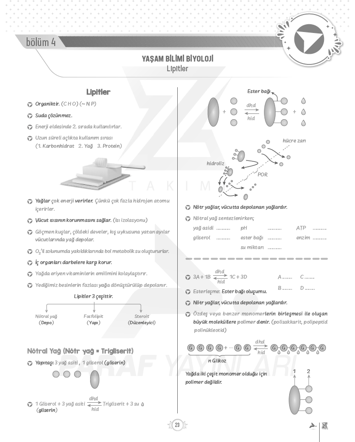9.sinif-tyt-biyoloji-lipitler-konu-anlatimi