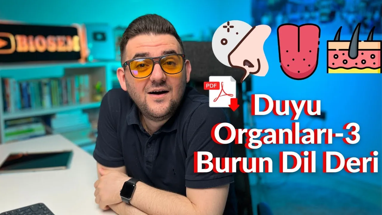 11.sınıf-biyoloji-duyu-organları-burun-dil-deri-konu-anlatımı