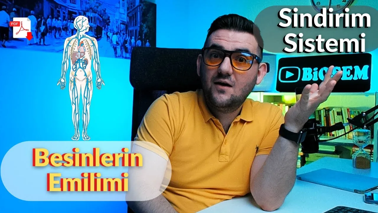 11.sınıf-biyoloji-sindirim-sistemi-besinlerin-emilimi-konu-anlatımı