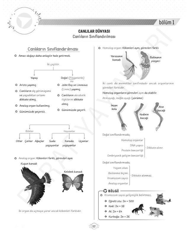 9.sinif-tyt-biyoloji-ikili-adlandırma-konu-anlatimi