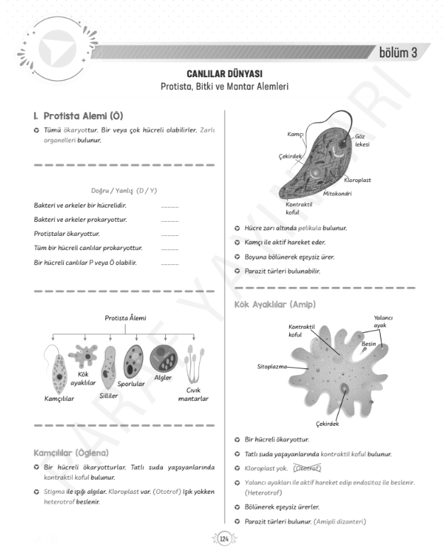 9.sinif-tyt-biyoloji-protista-alemi-konu-anlatimi