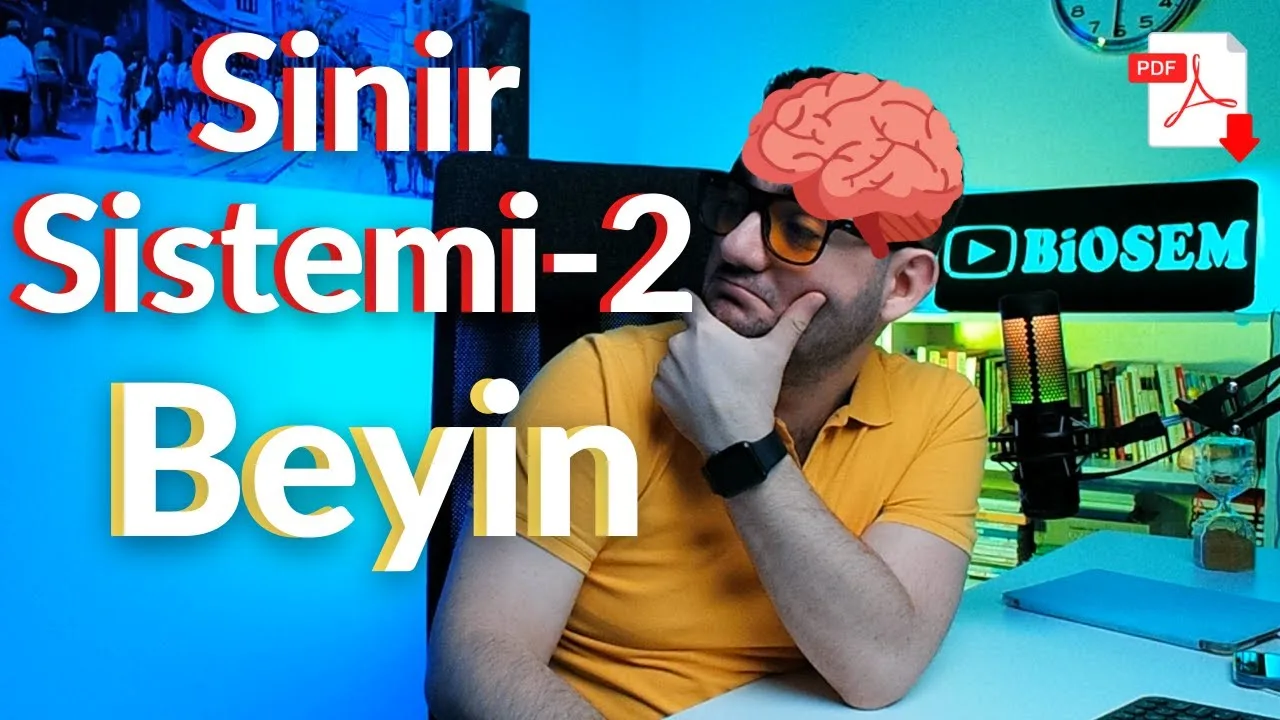 12.sınıf-biyoloji-sinir-sistemi-beyin-konu-anlatımı