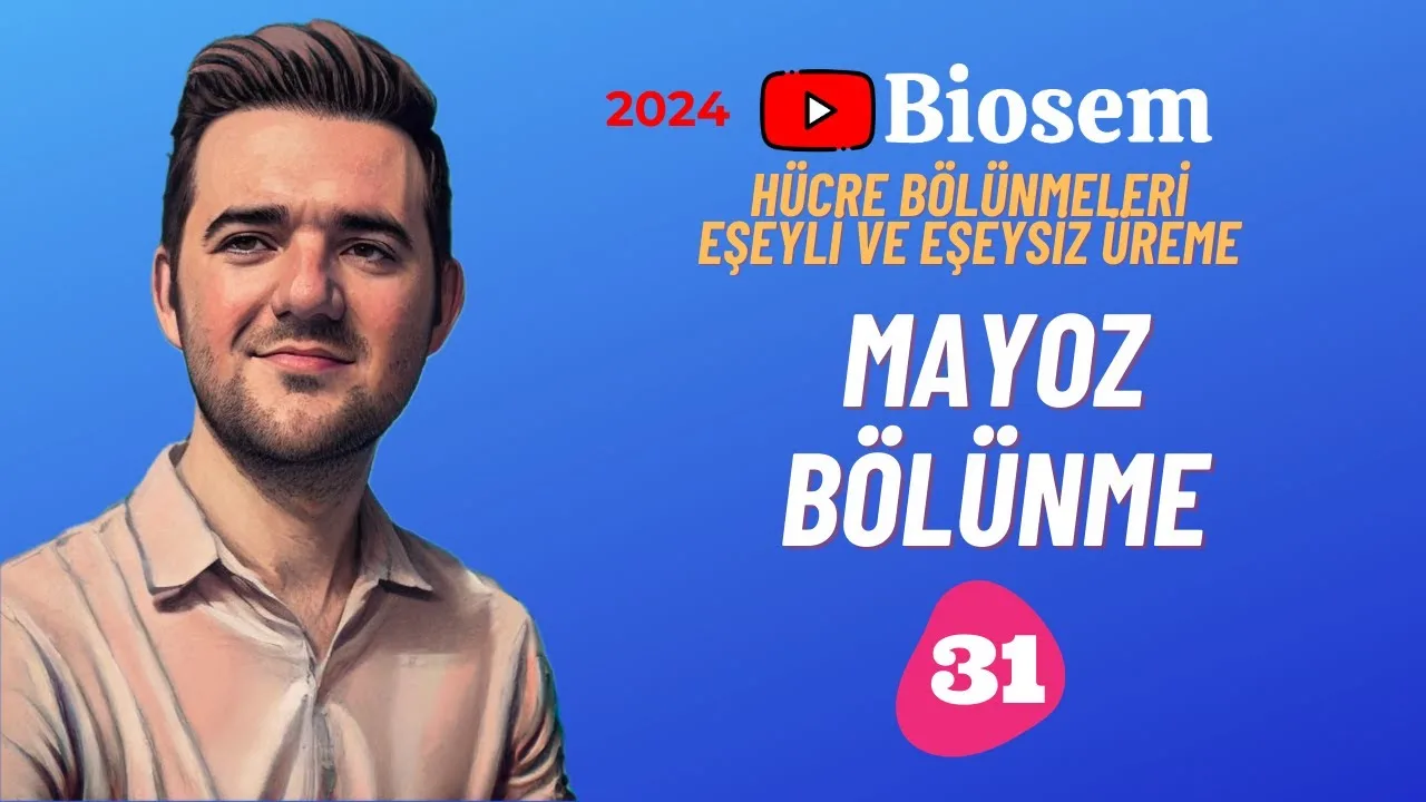 tyt-10.sinif-biyoloji-mayoz-bölünme-konu-anlatimi