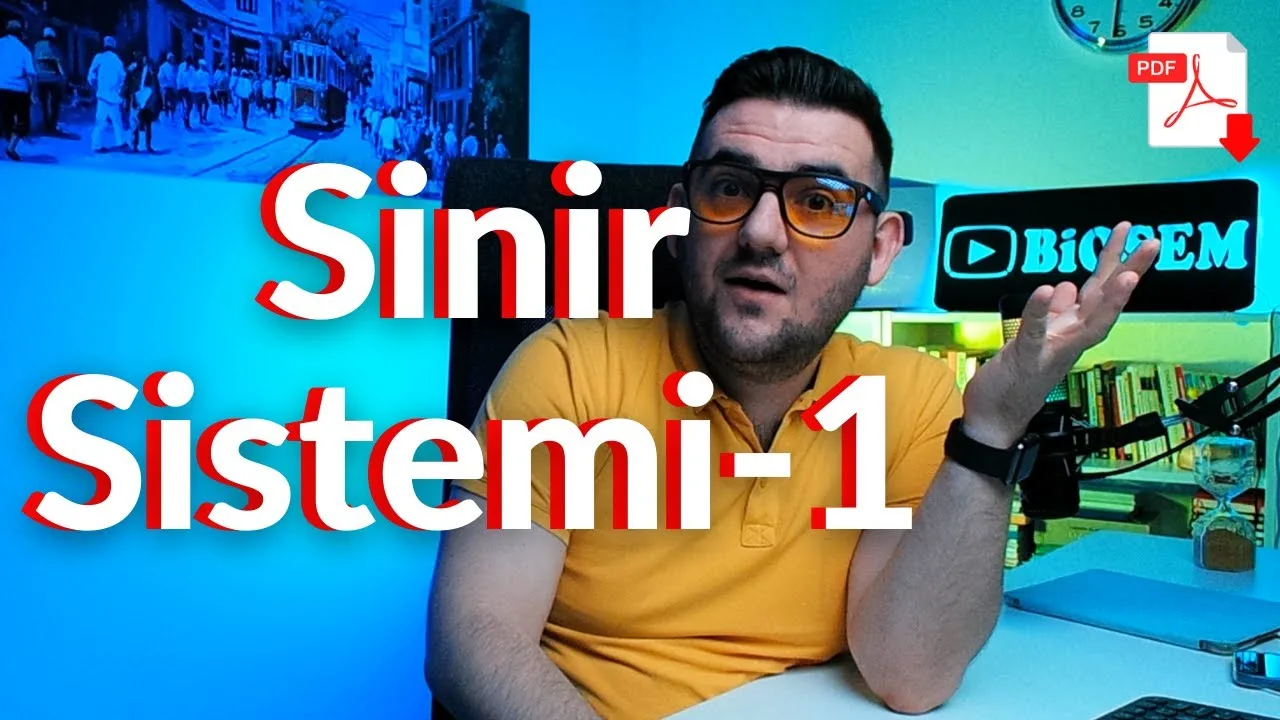 12.sınıf-biyoloji-sinir-sistemi-konu-anlatımı