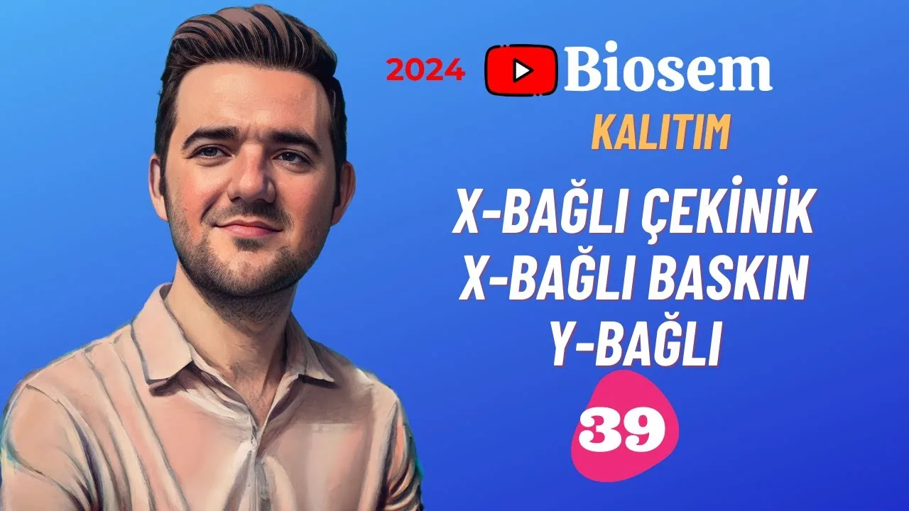 tyt-10.sinif-biyoloji-x-ve-y-bağlı-kalıtım-konu-anlatimi