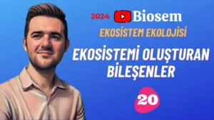 tyt-10.sinif-biyoloji-ekosistemi-oluşturan-bileşenler-konu-anlatimi