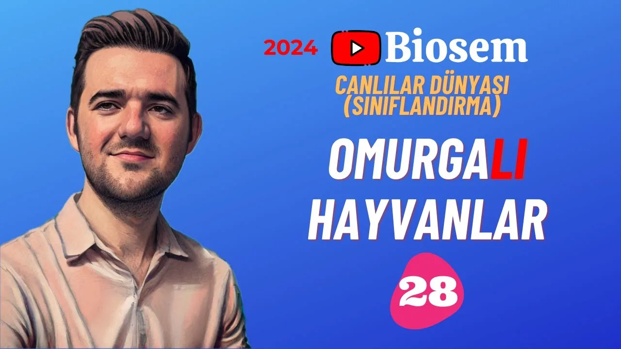 tyt-9.sinif-biyoloji-omurgalı-hayvanlar-konu-anlatimi