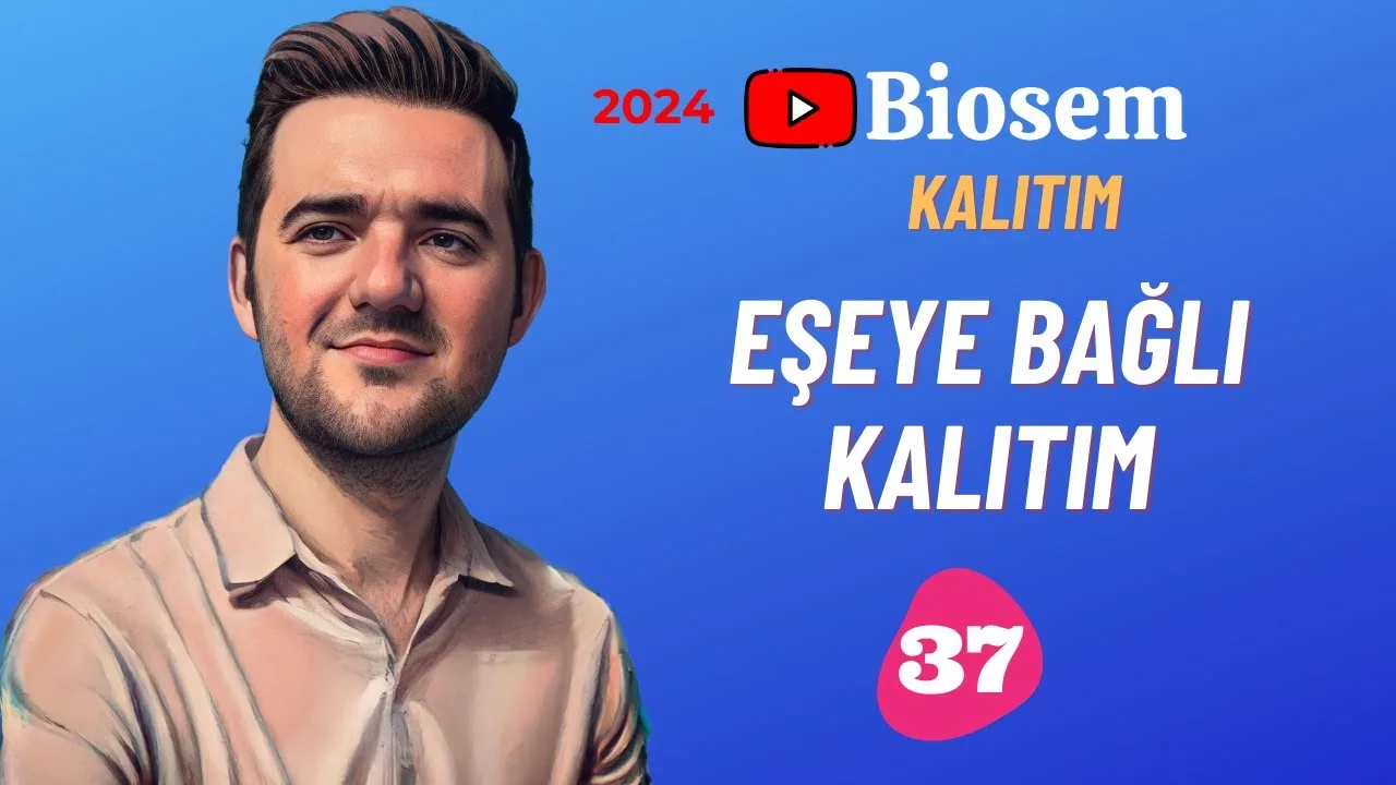 tyt-10.sinif-biyoloji-eşeye-bağlı-kalıtım-konu-anlatimi