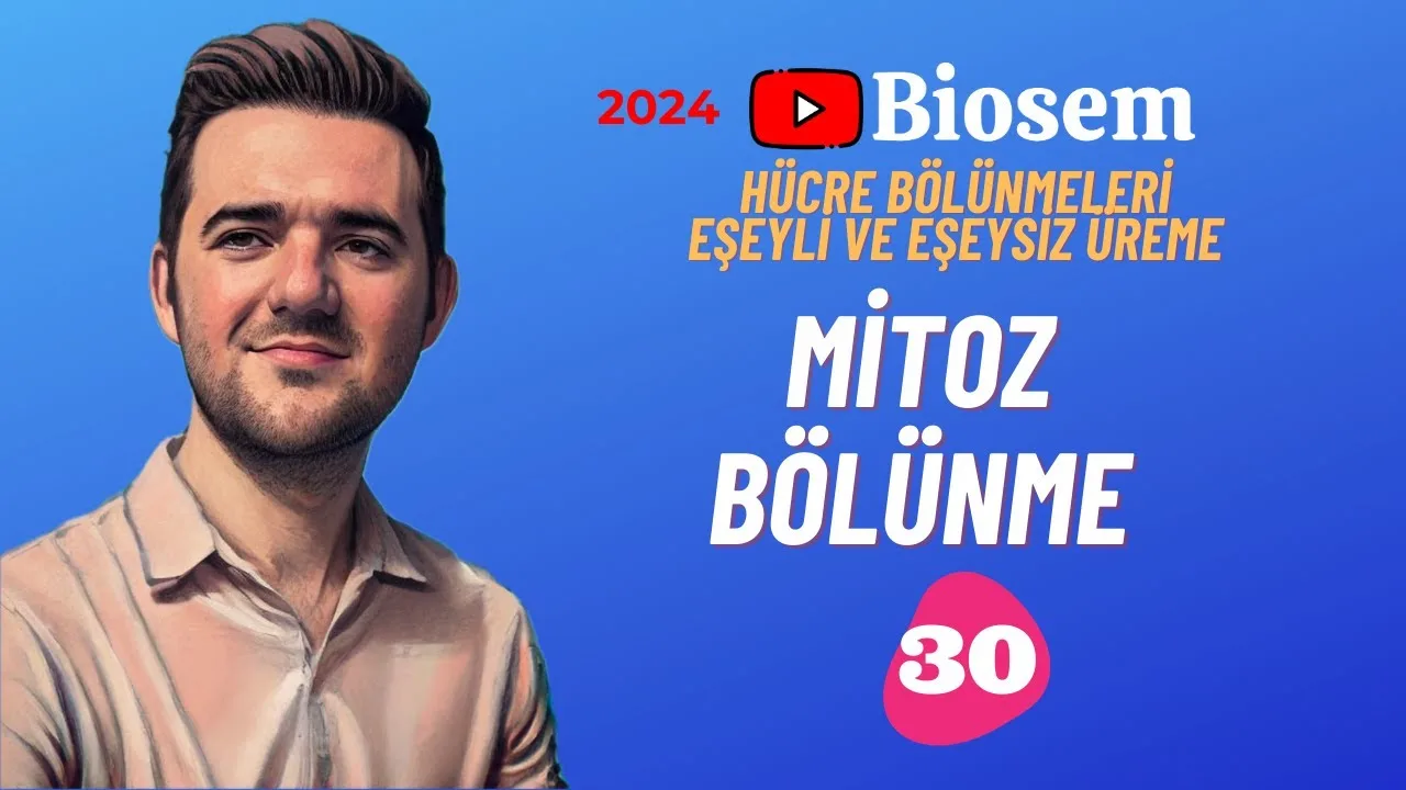 tyt-10.sinif-biyoloji-mitoz-bölünme-konu-anlatimi