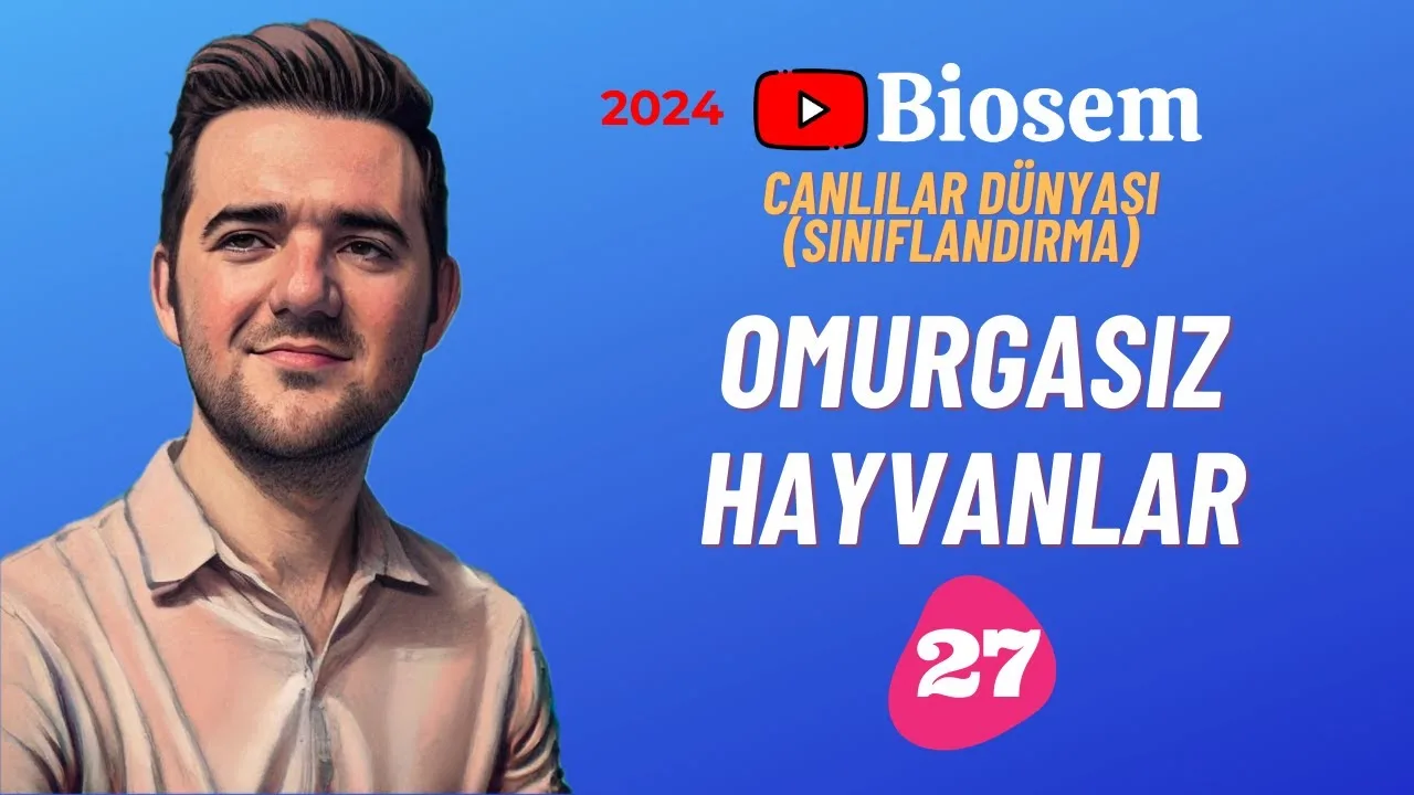 tyt-9.sinif-biyoloji-omurgasız-hayvanlar-konu-anlatimi