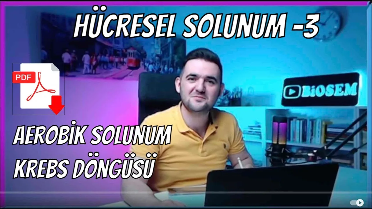 12.sınıf-biyoloji-hücresel-solunum-krebs-döngüsü-konu-anlatımı