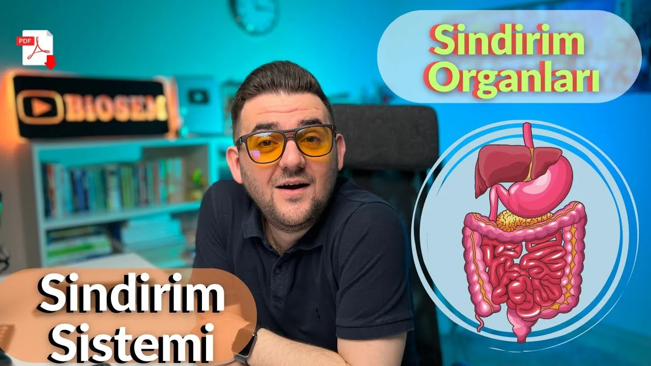 11.sınıf-biyoloji-sindirim-sistemi-konu-anlatımı