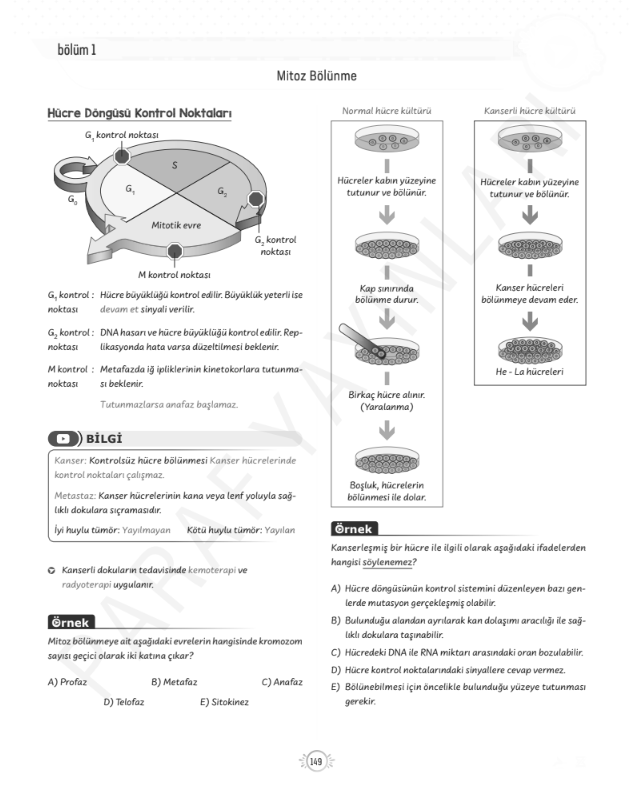 tyt-10.sinif-biyoloji-bölünme-kontrol-noktaları-konu-anlatimi