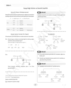 tyt-10.sinif-biyoloji-otozomal-çekinik-baskın-konu-anlatimi