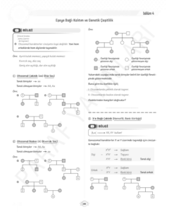 tyt-10.sinif-biyoloji-x-ve-y-bağlı-kalıtım-konu-anlatimi