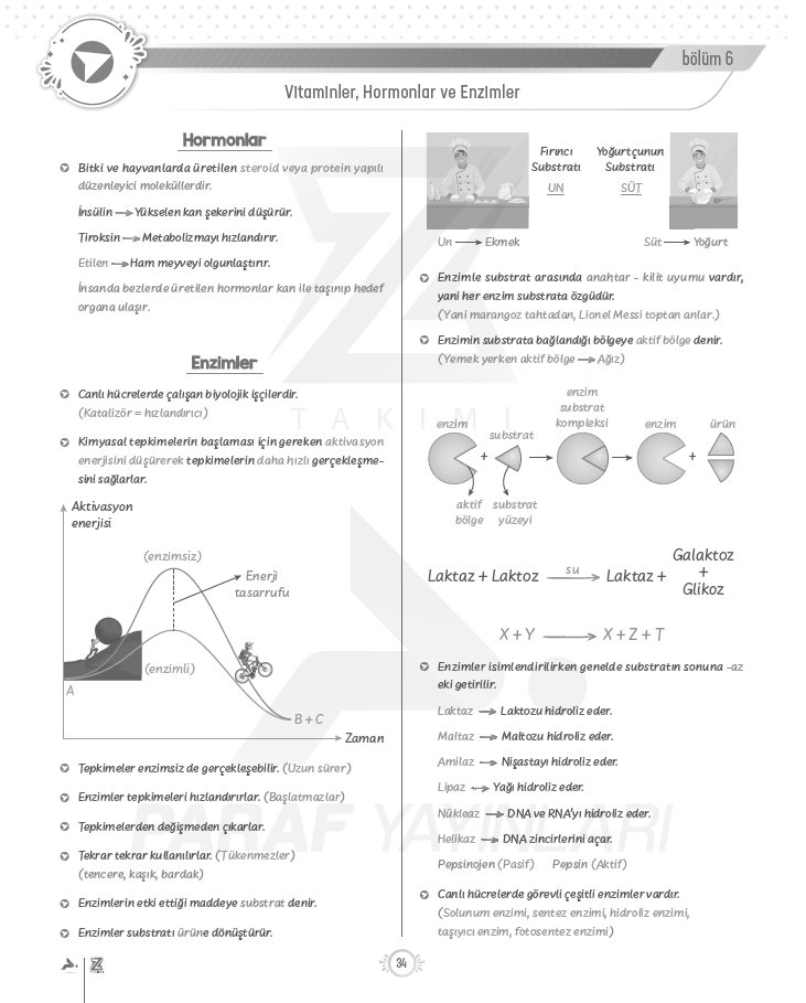 tyt-9.sinif-biyoloji-enzimler-konu-anlatimi
