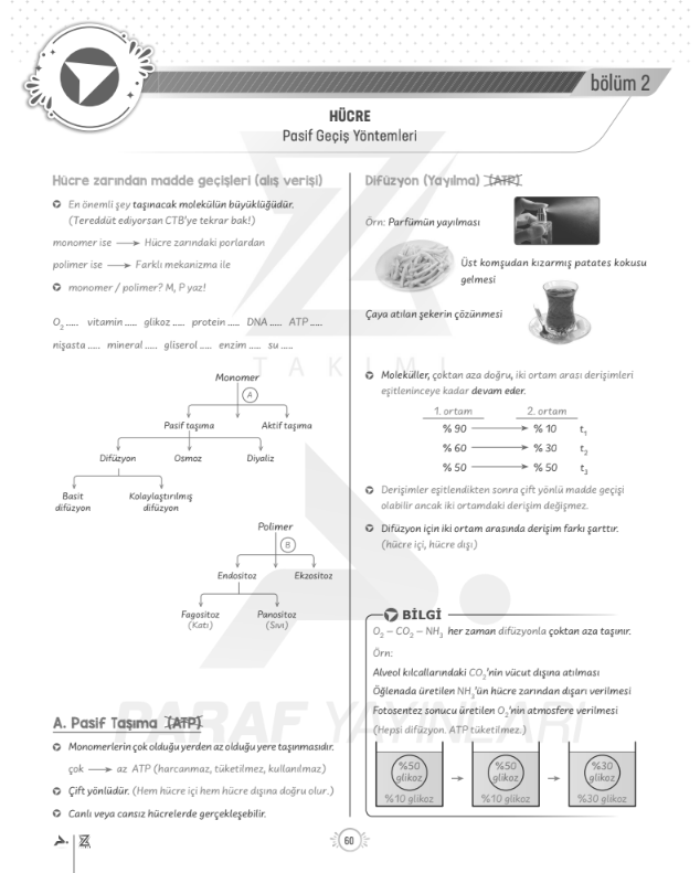 tyt-9.sinif-biyoloji-madde-geçişleri-pasif-taşıma-konu-anlatimi