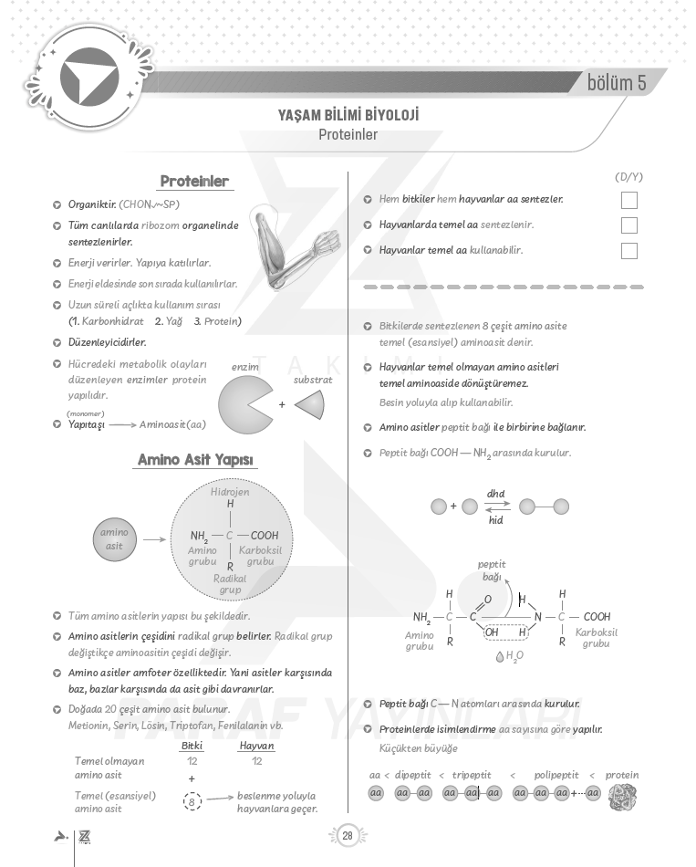 9.sinif-tyt-biyoloji-proteinler-konu-anlatimi