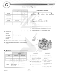 tyt-9.sinif-biyoloji-tek-zarlı-organeller-konu-anlatimi