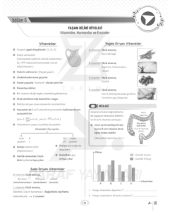 tyt-9.sinif-biyoloji-vitaminler-konu-anlatimi