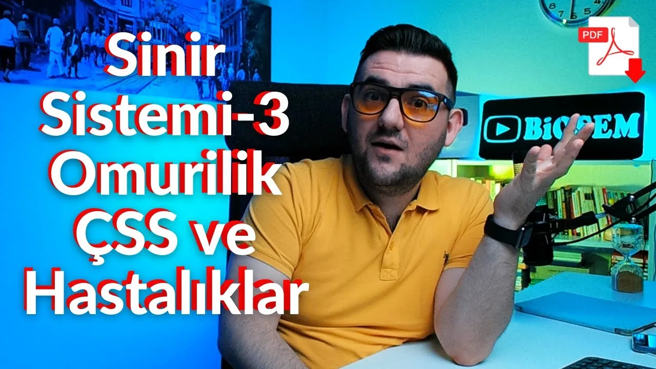 11.sınıf-ayt-biyoloji-omurilik-çevresel-sinir-sistemi-konu-anlatımı