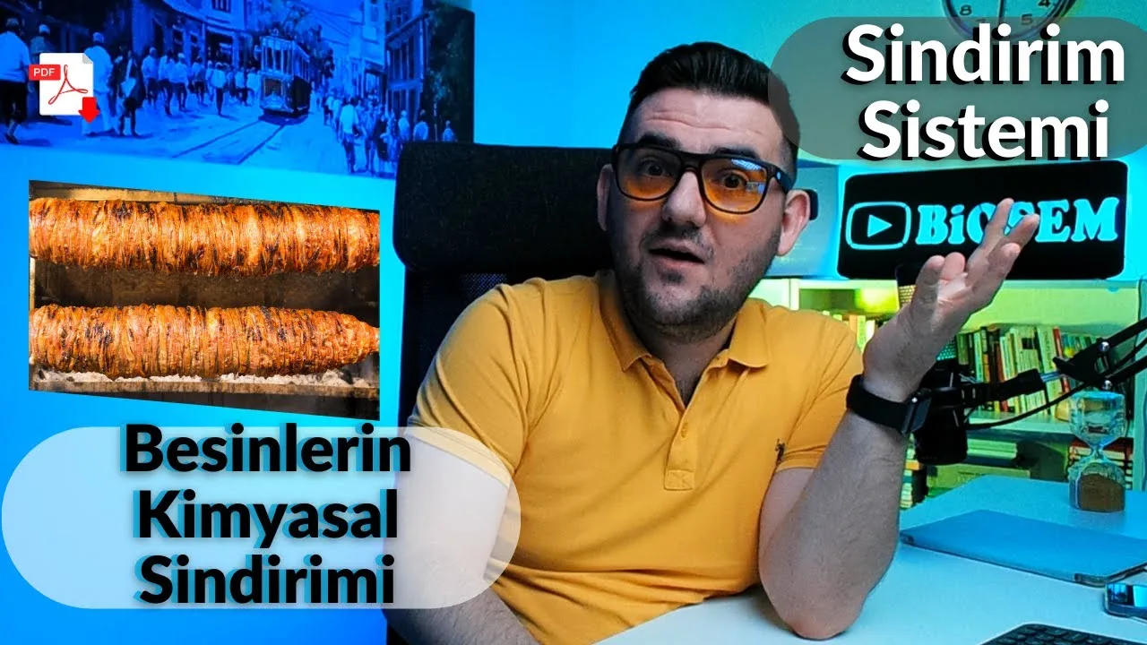 11.sınıf-biyoloji-sindirim-sistemi-besinlerin-kimyasal-sindirimi-konu-anlatımı