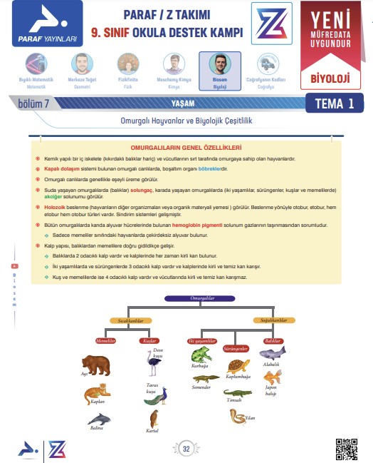 9.sinif-omurgali-hayvanlar-yeni-mufredat-konu-anlatimi