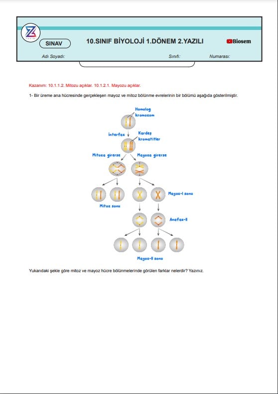10.sinif-biyoloji